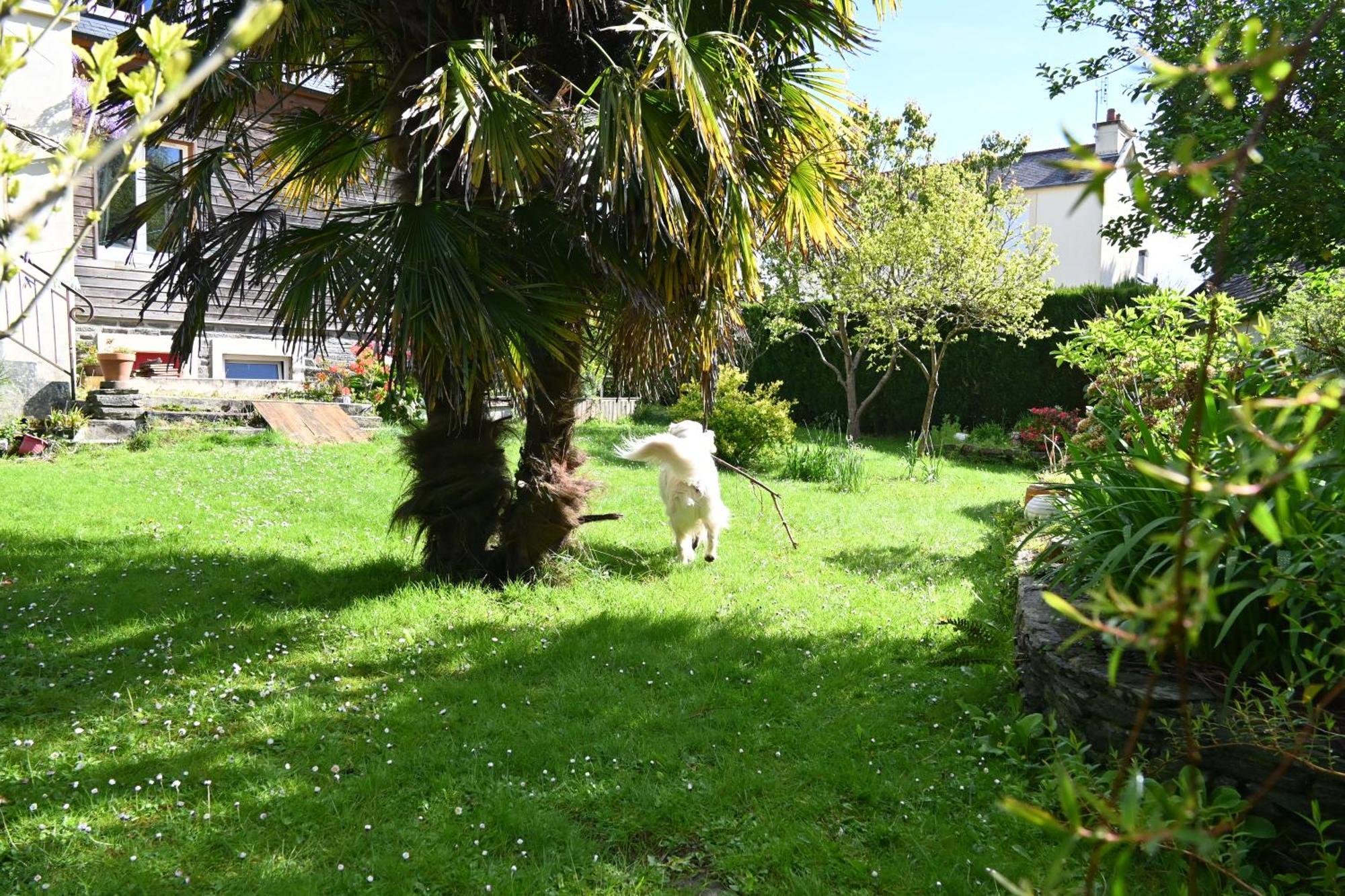 Jardin Madeleine Apartment Morlaix Ngoại thất bức ảnh